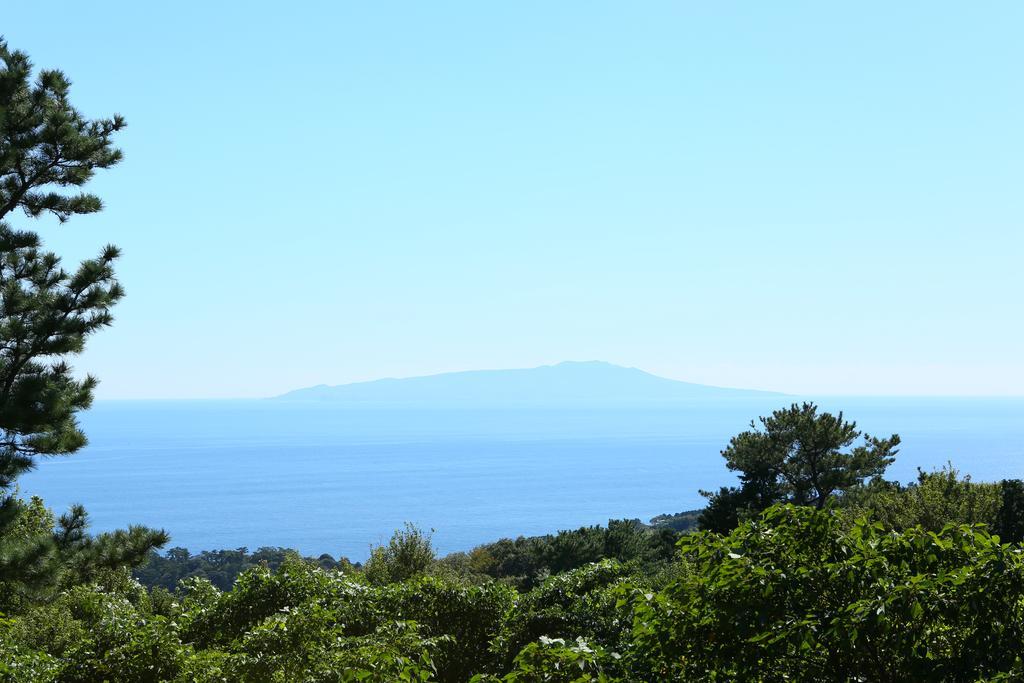 Southern Cross Resort Ito  Bagian luar foto
